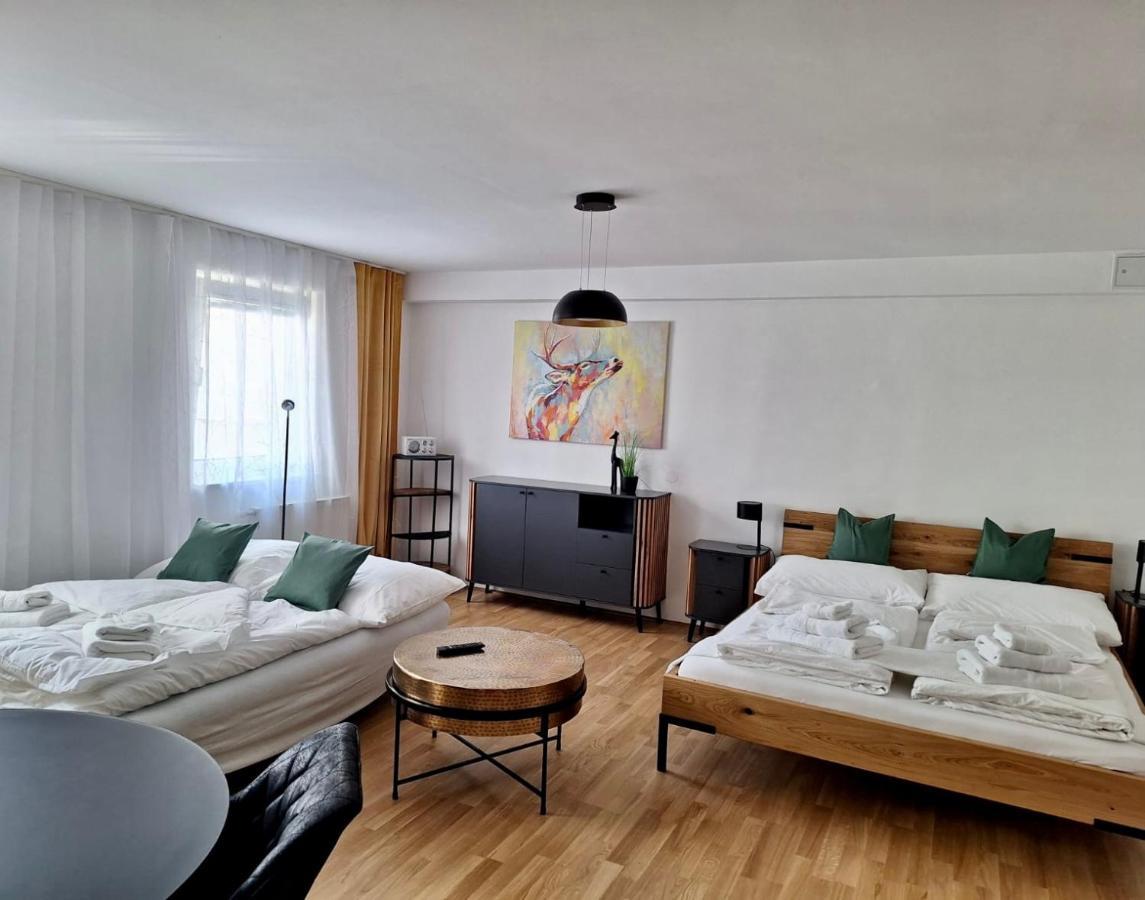 Air-Conditioned, Quiet Apartment With A Terrace In Center Of St Poelten - Smart Tv Sankt Poelten Eksteriør billede
